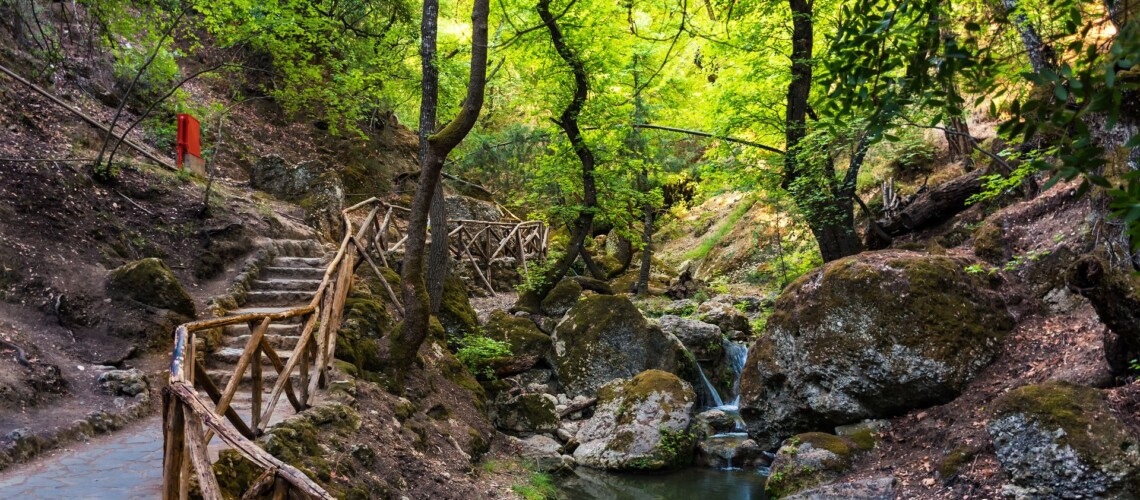 Walk Among Sweetgum Trees In Butterfly Valley (rhodes, Greece)